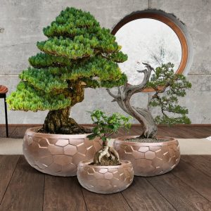 Canela Set 3 Maceteros Bronce