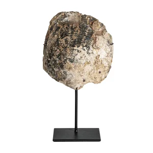 Figura Decorativa en concha tonos neutros – Estilo Nórdico